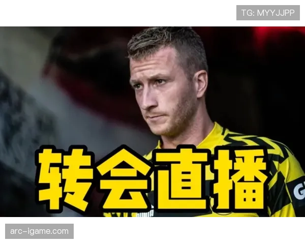 阿尔转会策略深度解析：新赛季引援布局有望显著提升球队竞争力