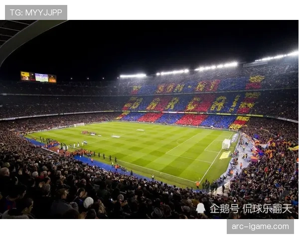 西甲科利塞乌姆球场 西甲科利塞乌姆球场