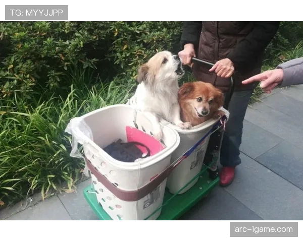 维克托·阿萨尔森带娃遛弯，推车比我家客厅还贵